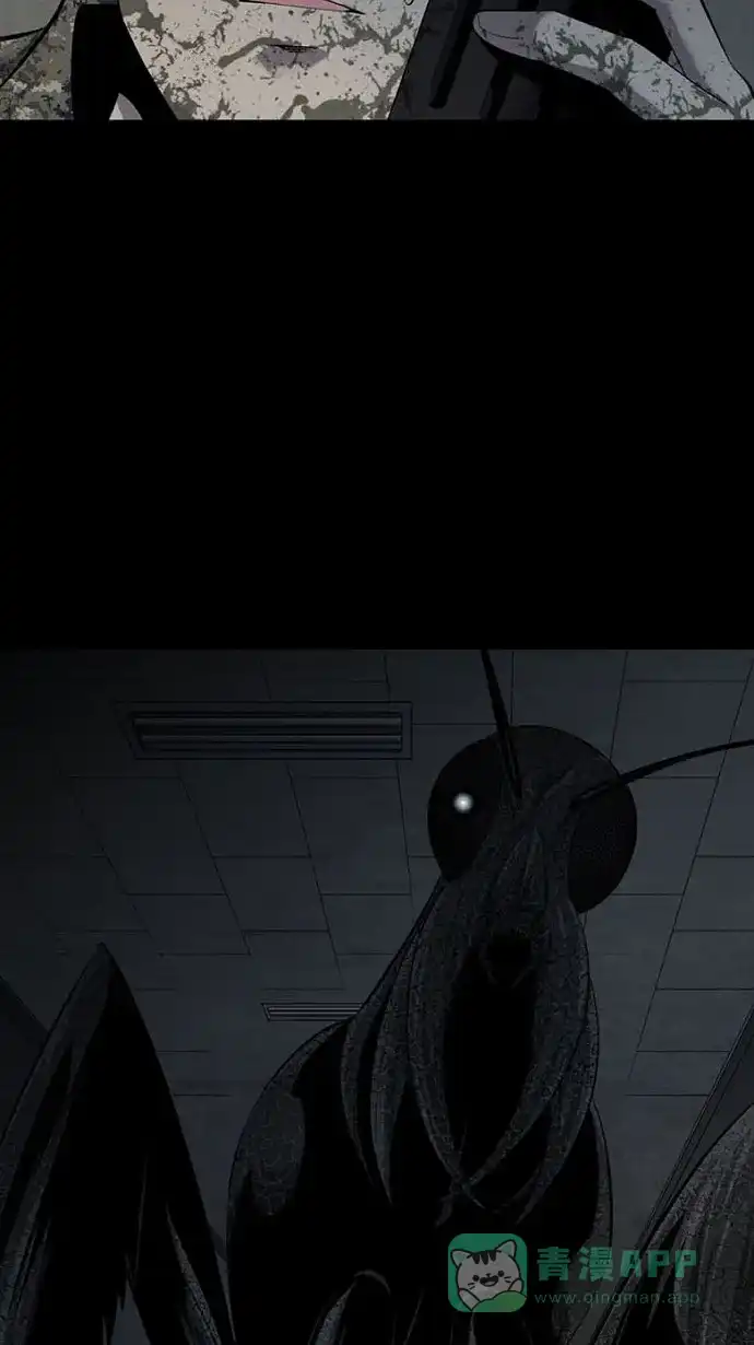 《虫穴》第74话 第47页