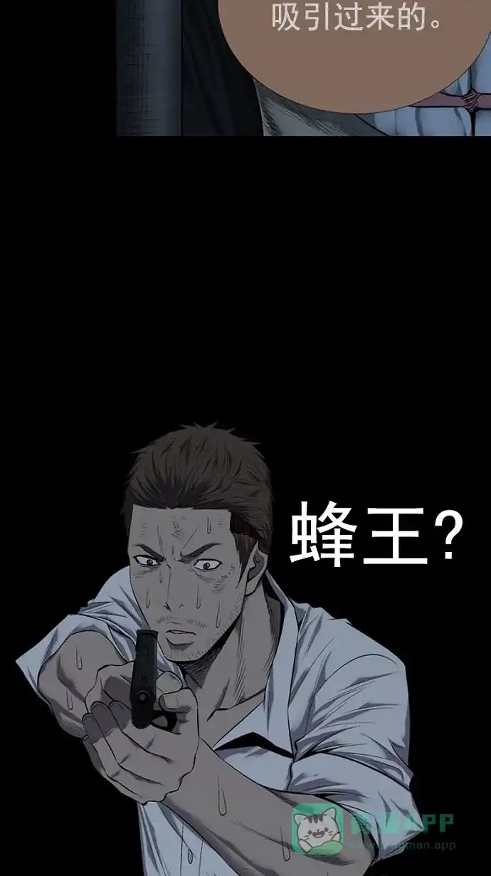 《虫穴》第79话 第33页