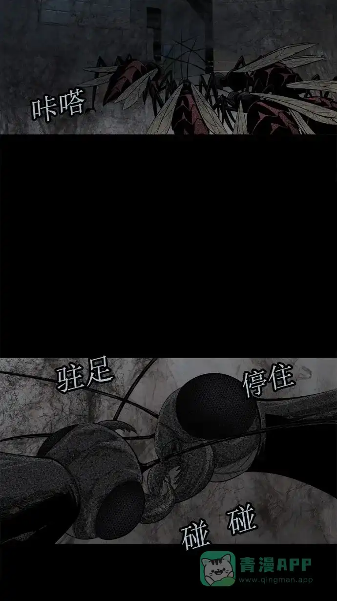《虫穴》第83话 第52页