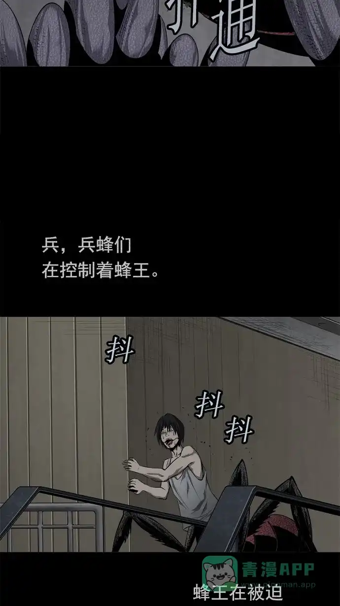 《虫穴》第83话 第69页