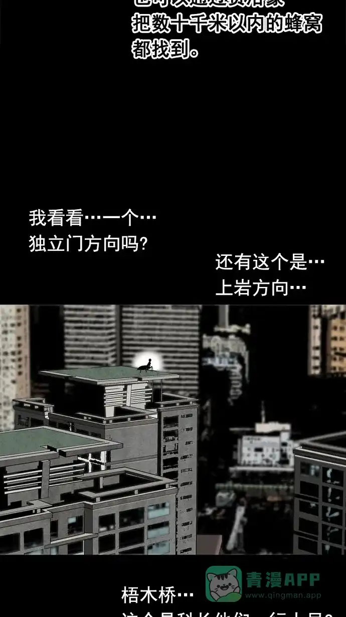 《虫穴》第91话 第70页