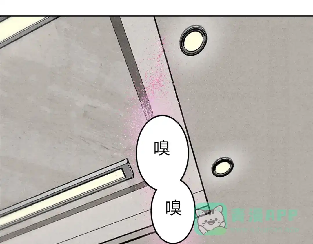 穿成Alpha大佬的金丝大鹅 09大鹅想要 第71页