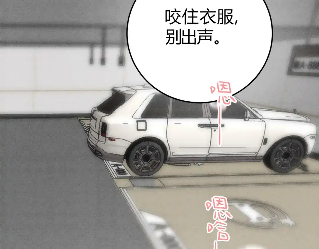 穿成Alpha大佬的金丝大鹅 10大鹅得到 第118页