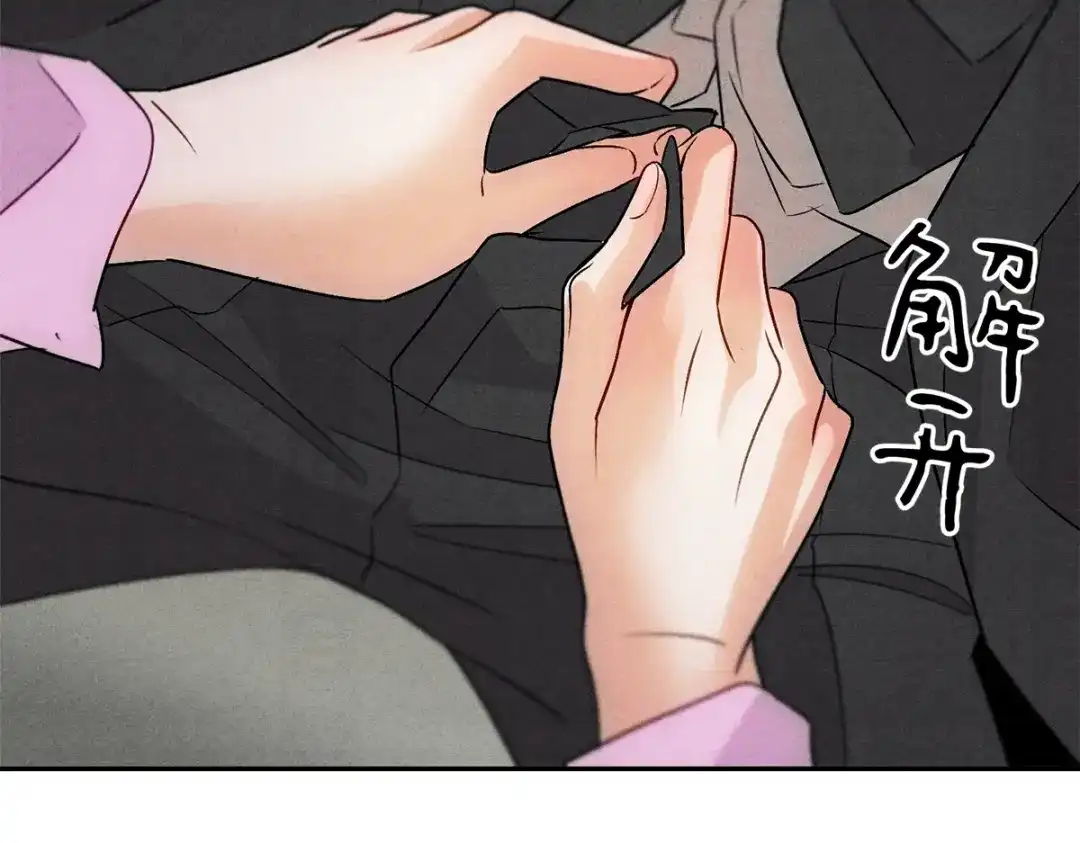 穿成Alpha大佬的金丝大鹅 10大鹅得到 第17页