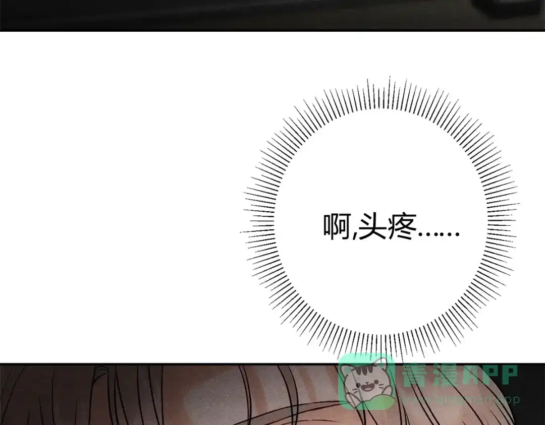 穿成Alpha大佬的金丝大鹅 10大鹅得到 第6页
