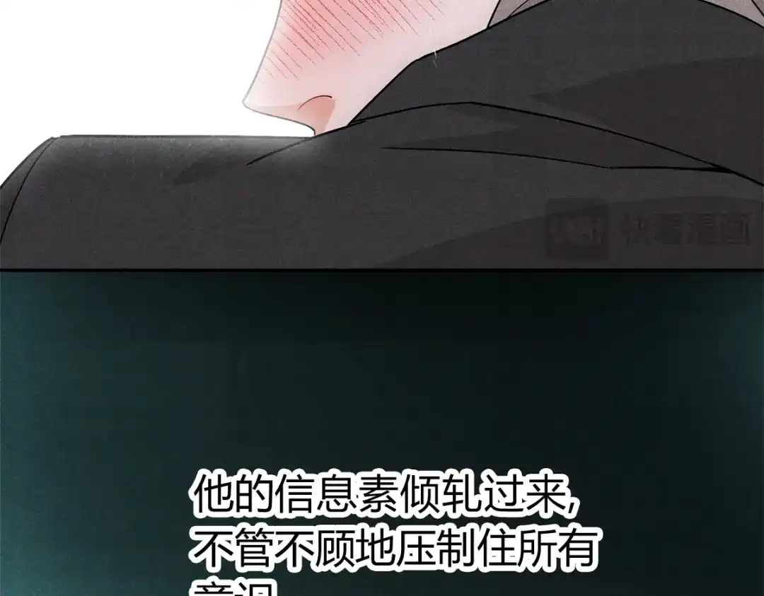 穿成Alpha大佬的金丝大鹅 10大鹅得到 第73页