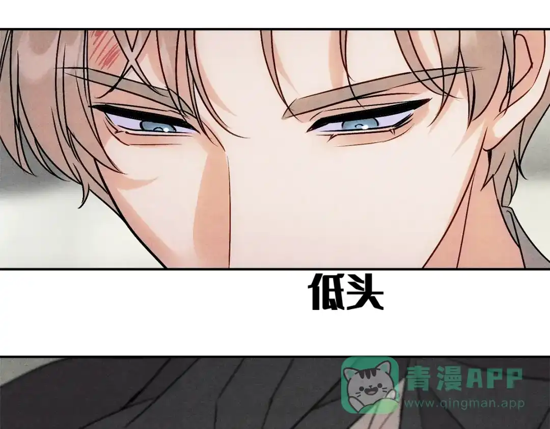 穿成Alpha大佬的金丝大鹅 10大鹅得到 第16页