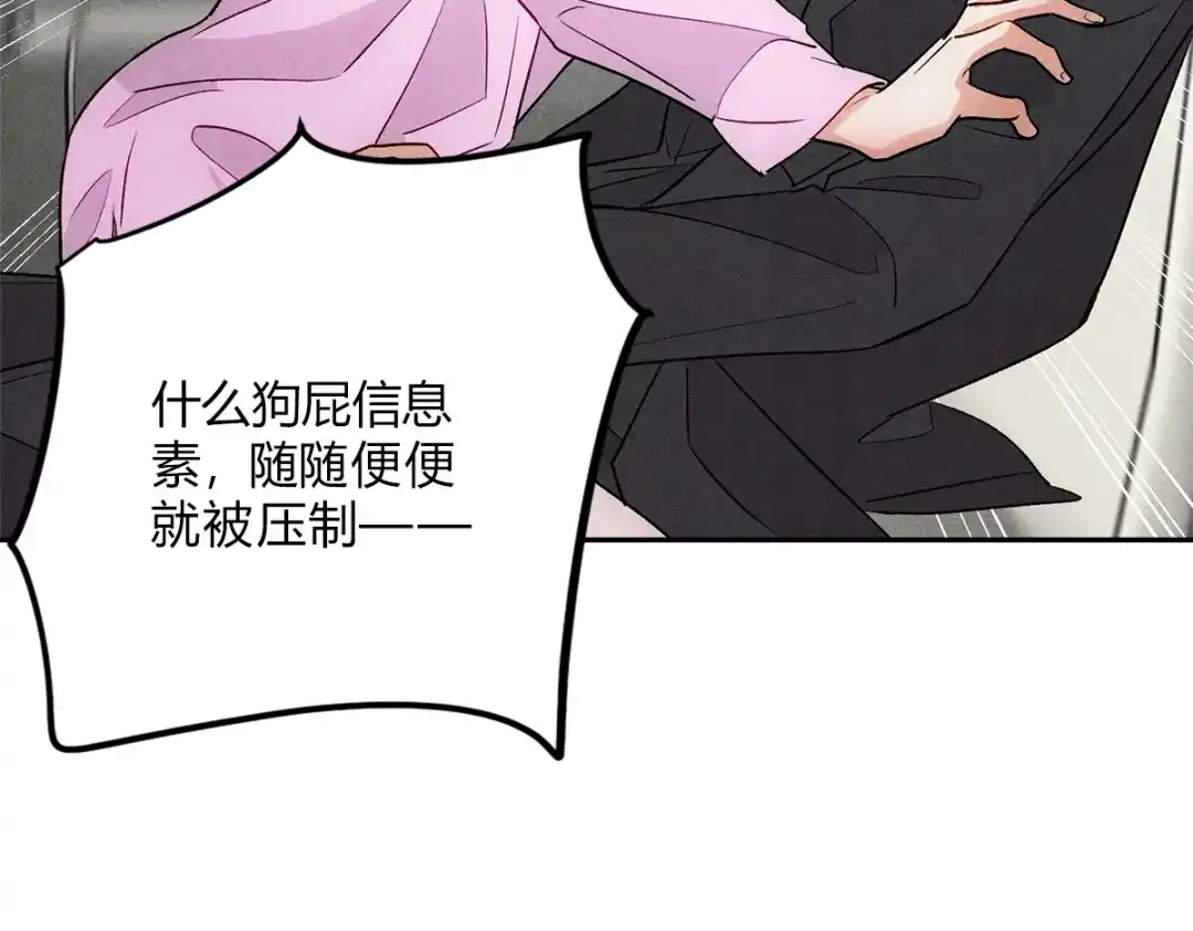 穿成Alpha大佬的金丝大鹅 10大鹅得到 第95页