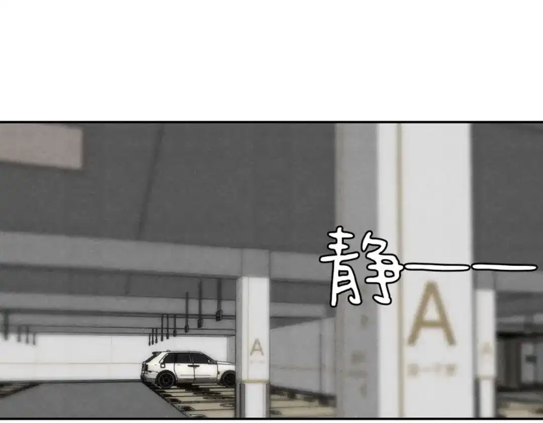 穿成Alpha大佬的金丝大鹅 11大鹅再得到 第5页