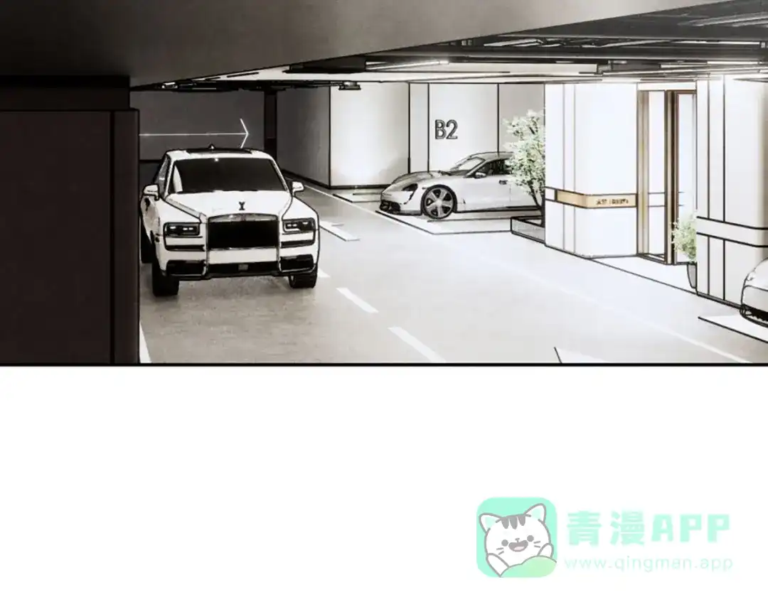 穿成Alpha大佬的金丝大鹅 12玩玩心眼 第56页