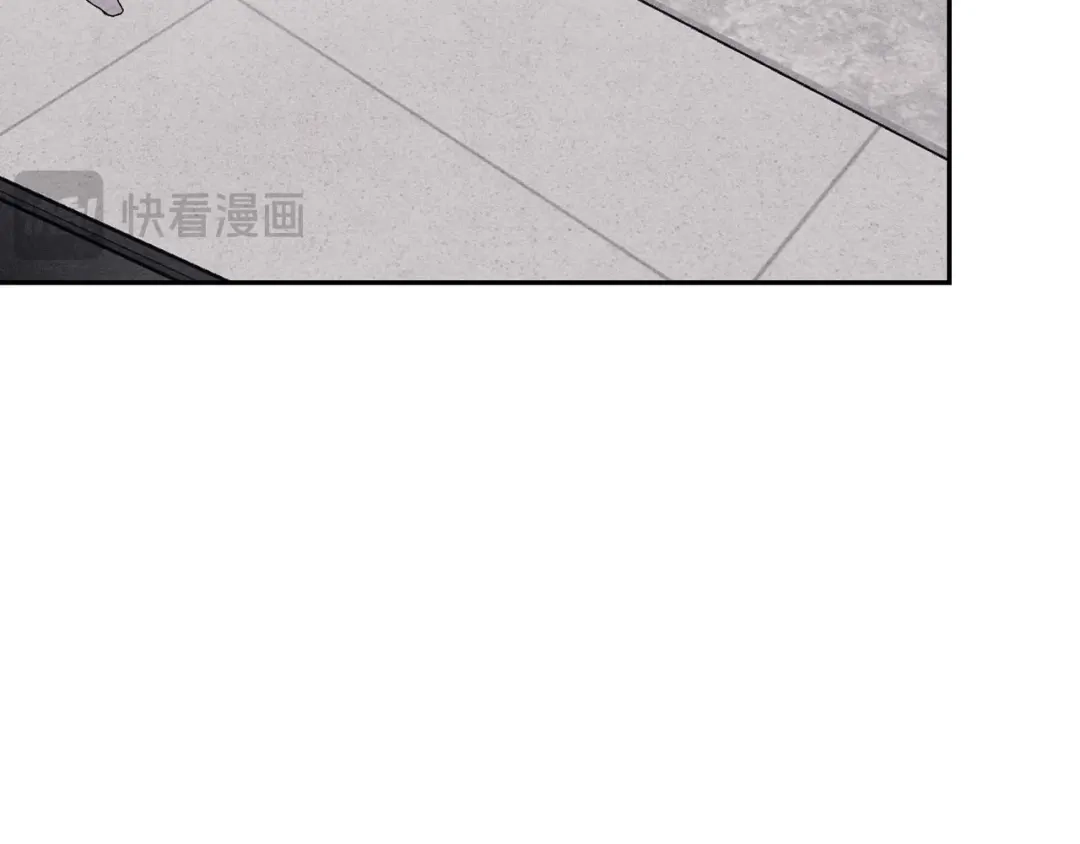 穿成Alpha大佬的金丝大鹅 13新进员工 第14页