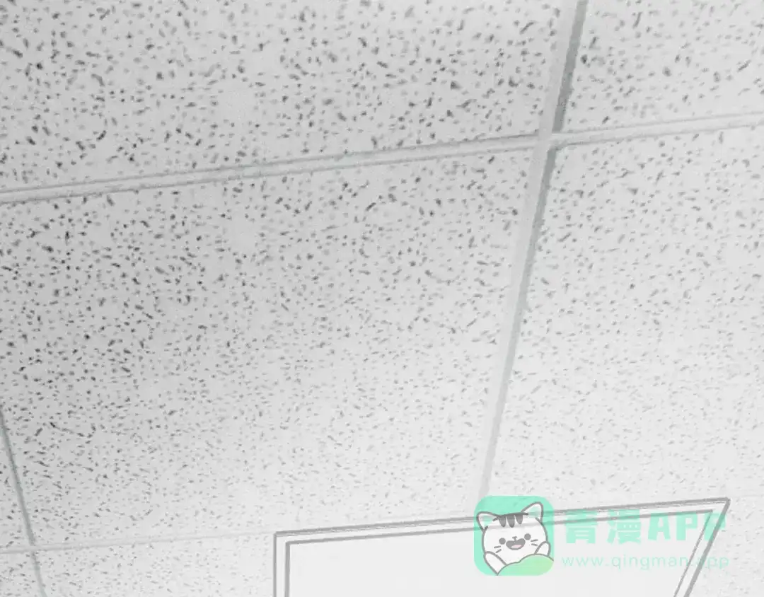 穿成Alpha大佬的金丝大鹅 13新进员工 第66页
