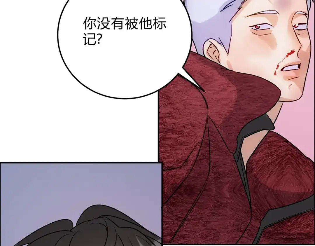 穿成Alpha大佬的金丝大鹅 16乖乖弟弟 第97页