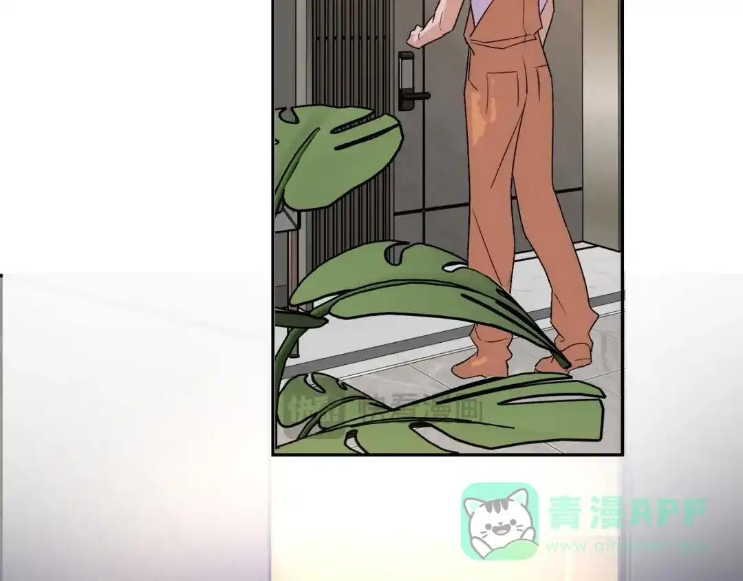 穿成Alpha大佬的金丝大鹅 17本来不想生气的 第76页