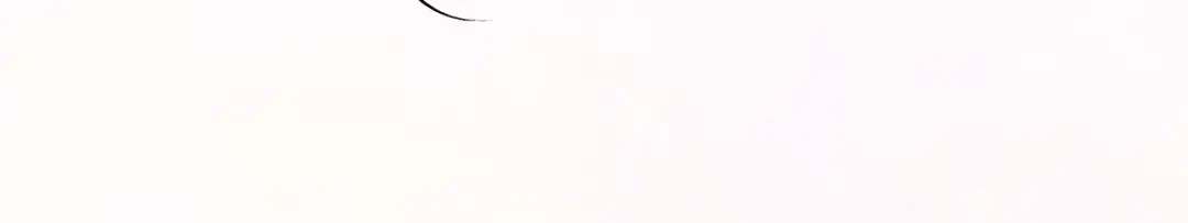 穿成Alpha大佬的金丝大鹅 19代价 第82页
