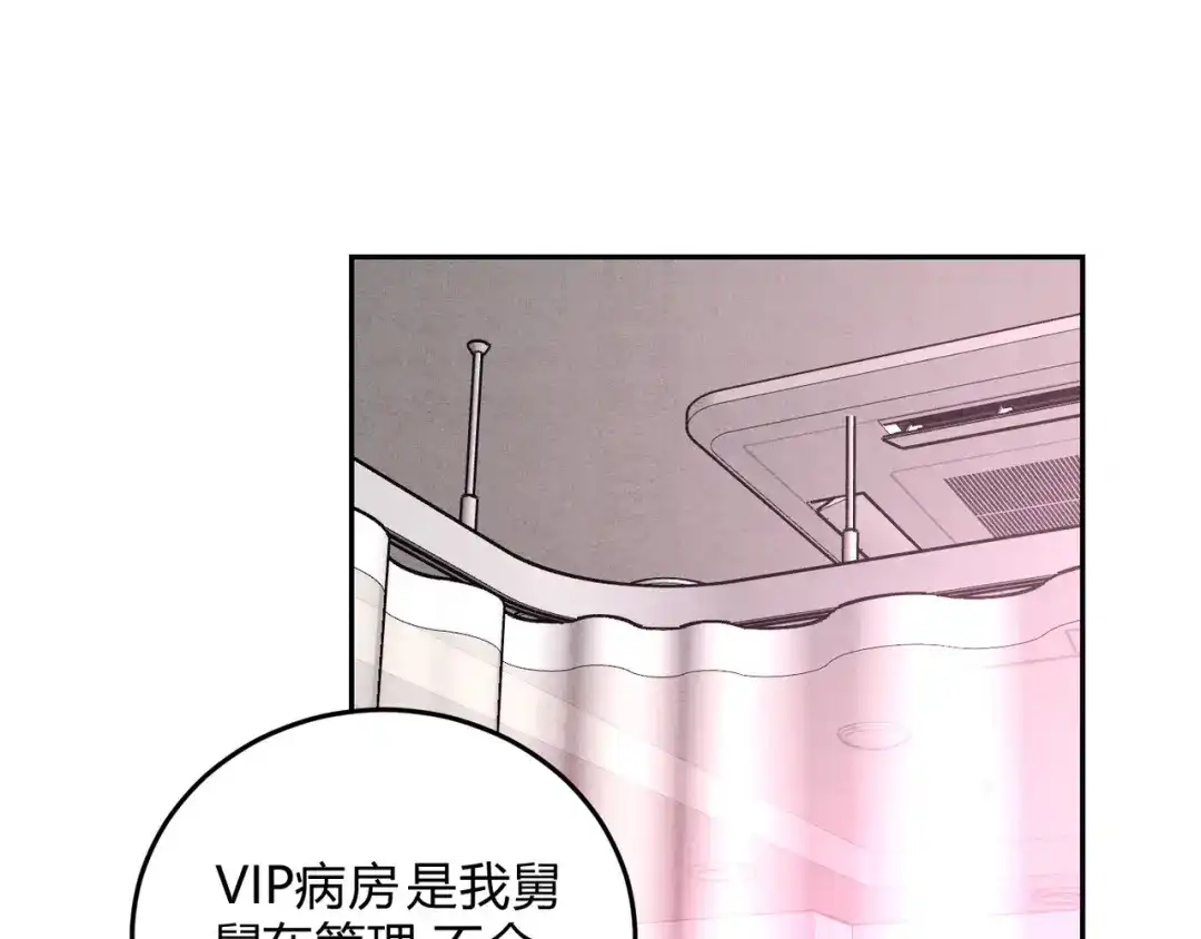 穿成Alpha大佬的金丝大鹅 24林家掌门人 第27页