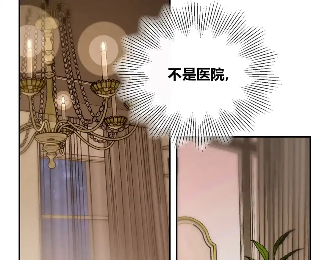 穿成Alpha大佬的金丝大鹅 01穿越了！ 第27页
