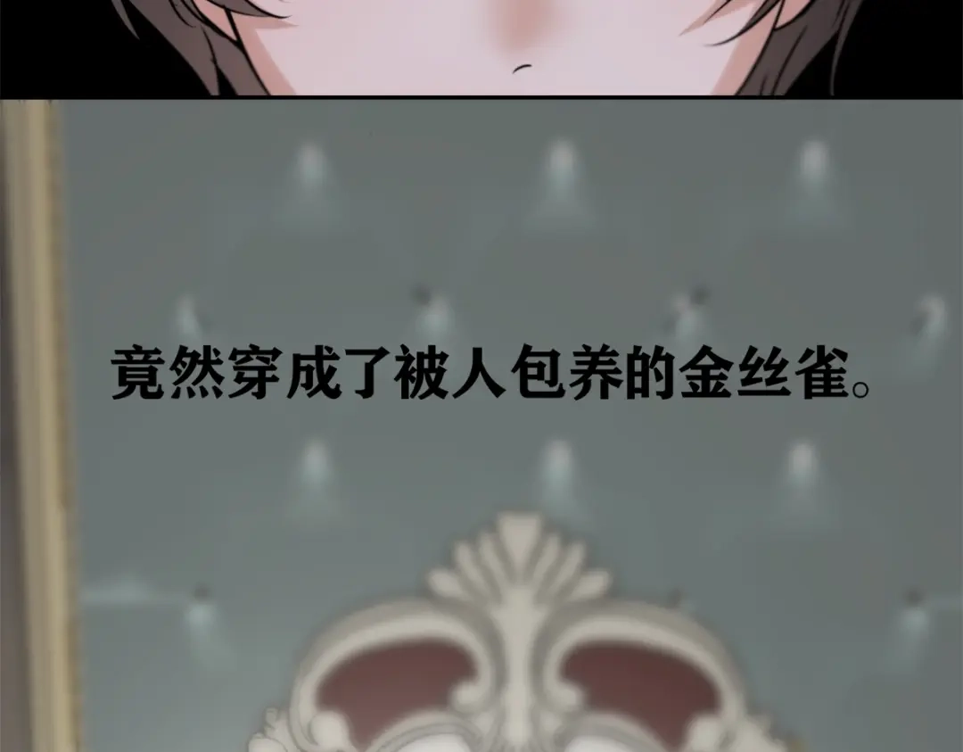 穿成Alpha大佬的金丝大鹅 02情热期？ 第9页