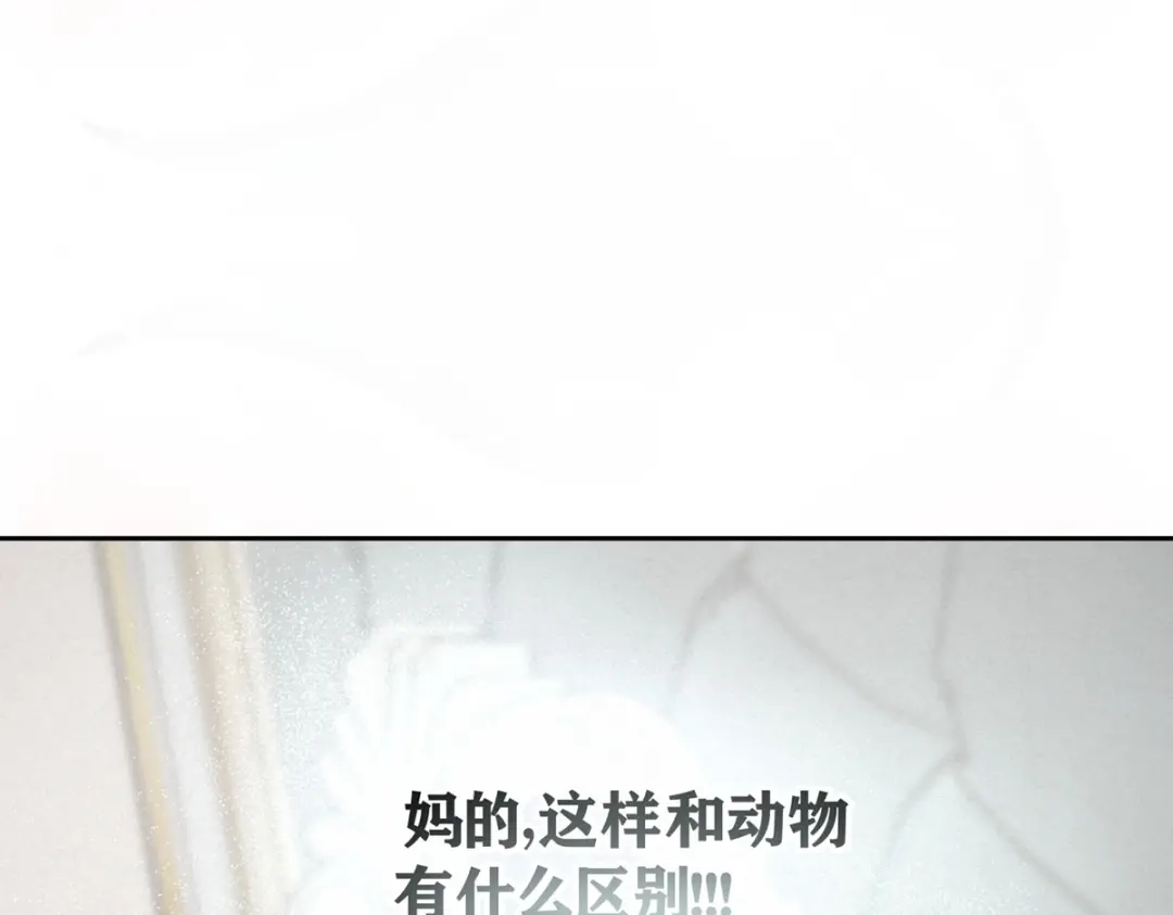 穿成Alpha大佬的金丝大鹅 02情热期？ 第93页