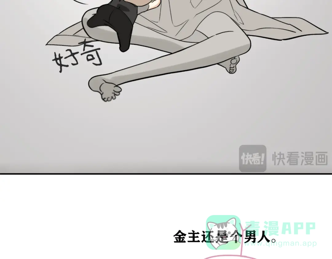 穿成Alpha大佬的金丝大鹅 02情热期？ 第11页
