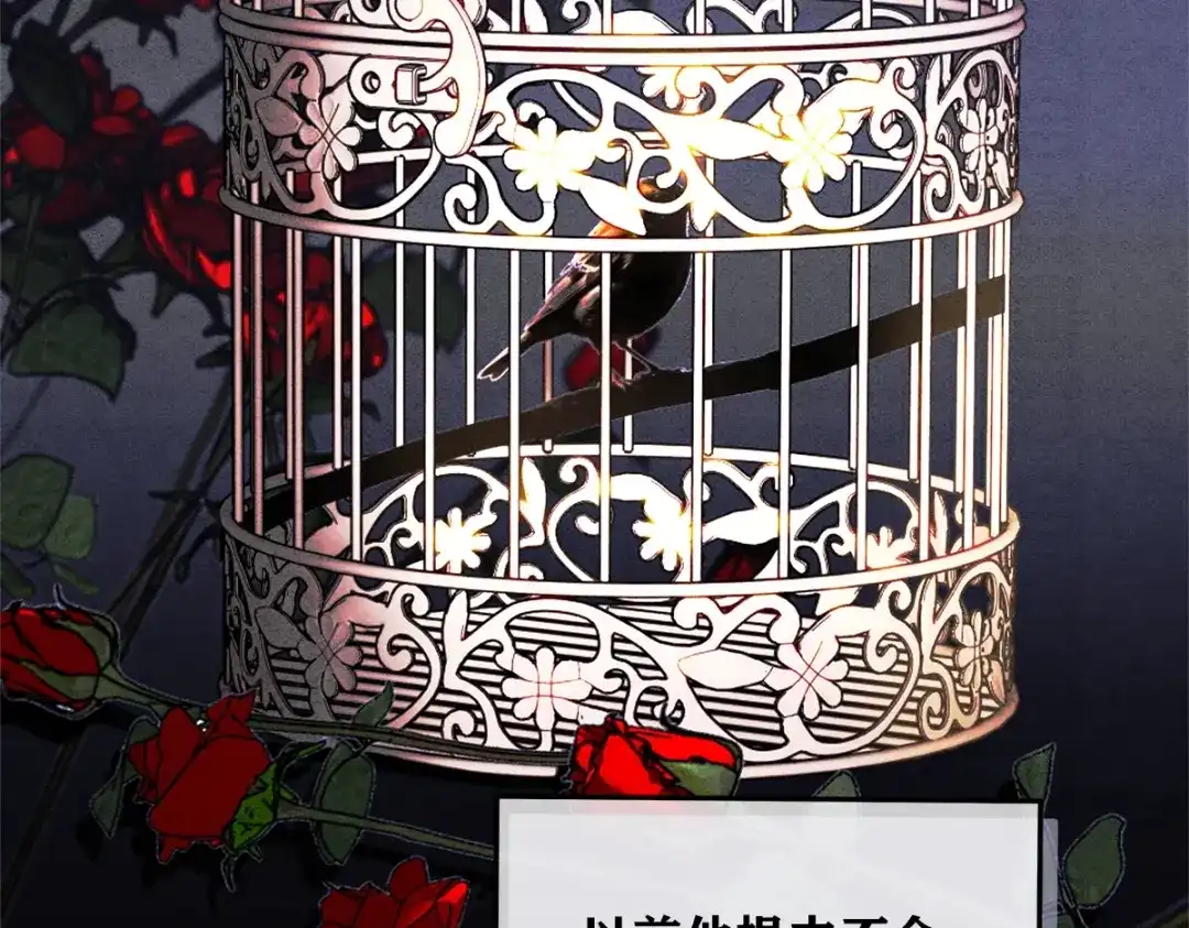 穿成Alpha大佬的金丝大鹅 03控制 第37页