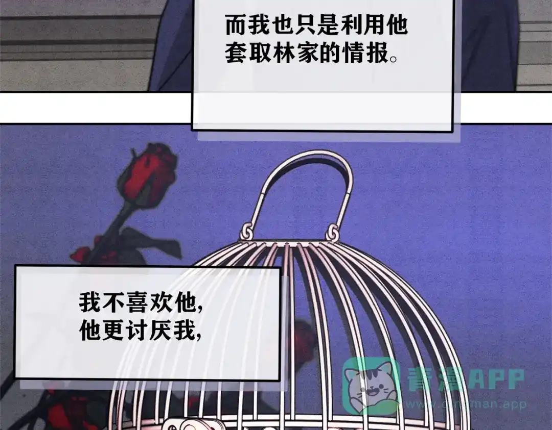 穿成Alpha大佬的金丝大鹅 03控制 第36页