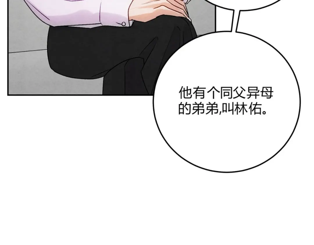 穿成Alpha大佬的金丝大鹅 06宝贝弟弟 第10页