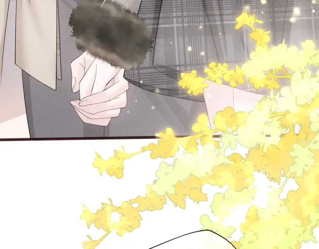 《穿成马甲大佬的妹妹》第97话 三堂会审 第8页