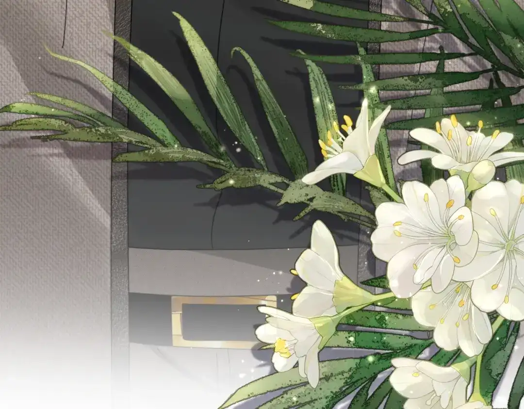 《穿成马甲大佬的妹妹》第108话 礼物？ 第40页