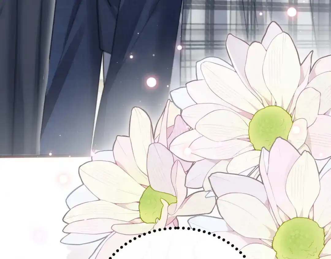 《穿成马甲大佬的妹妹》第91话 被保护的顾矜 第41页