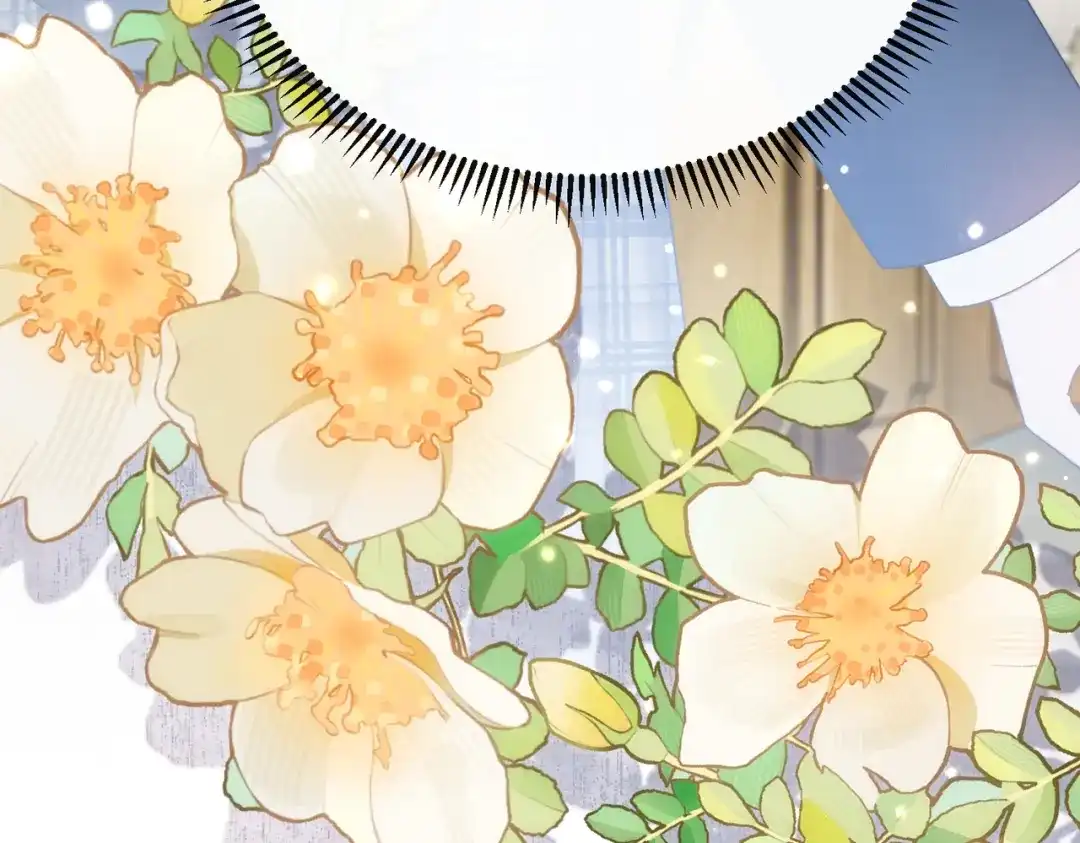 《穿成马甲大佬的妹妹》第92话 姐姐也应该被呵护 第102页