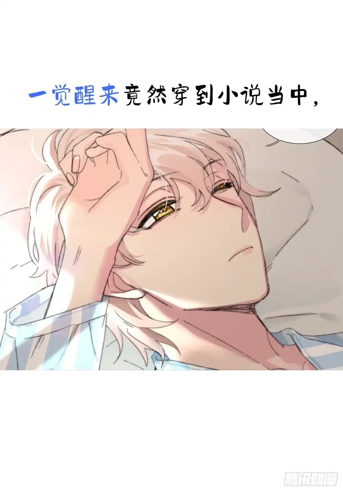 穿成炮灰后我只想离婚 预告 第1页