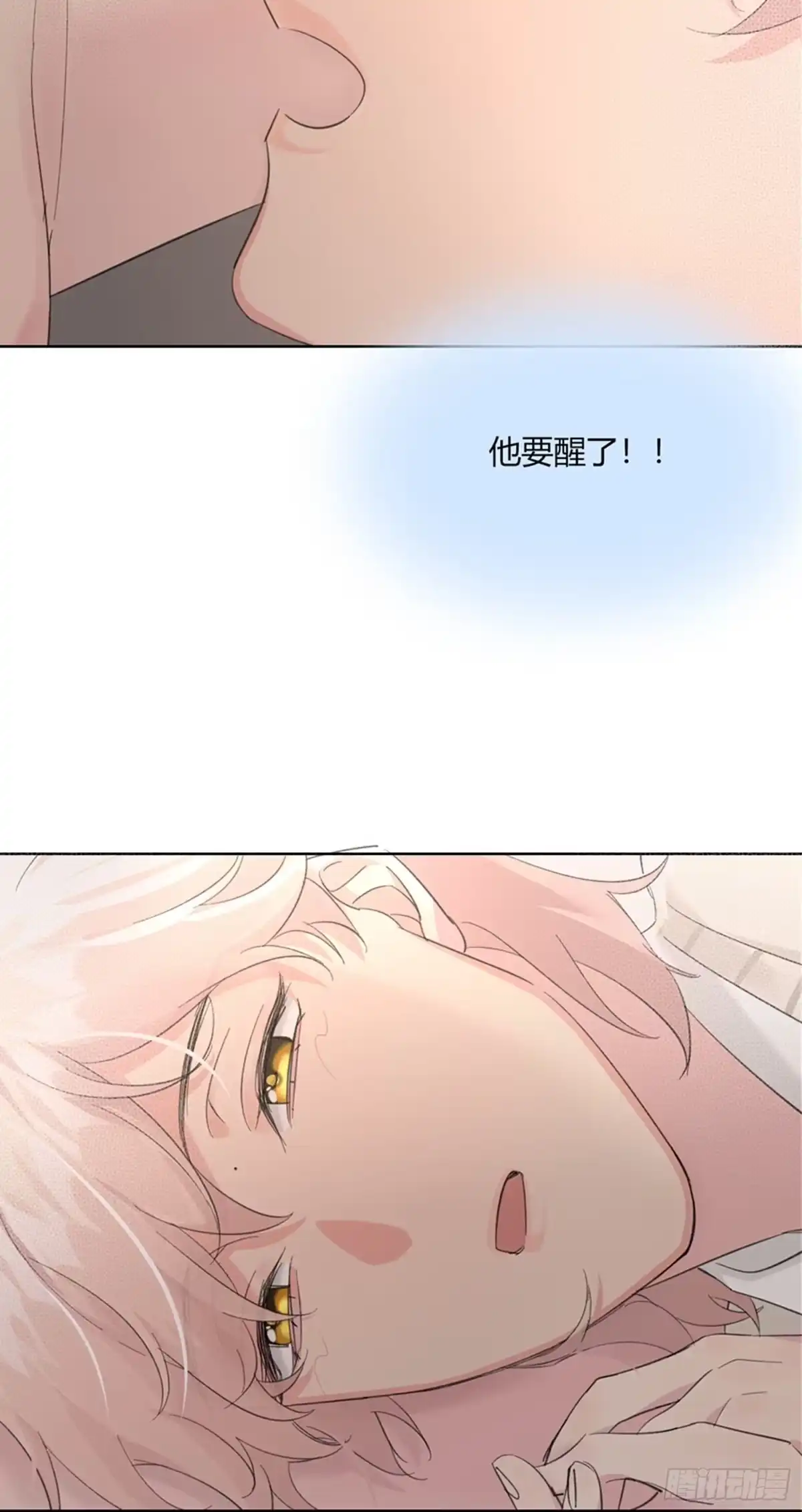 穿成炮灰后我只想离婚 第11话 如何正确当狗 第13页