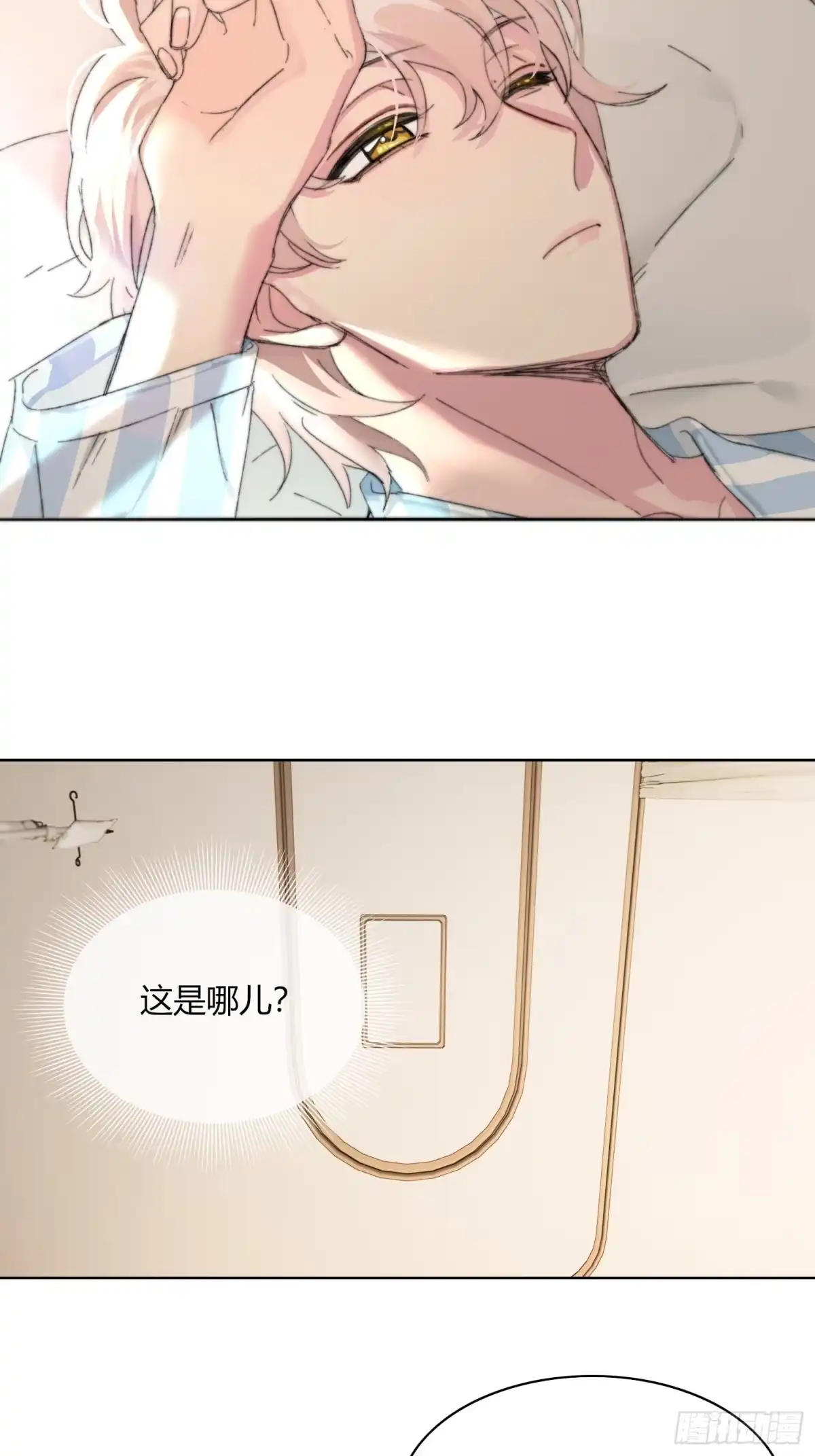 穿成炮灰后我只想离婚 第1话 我穿越了？ 第5页
