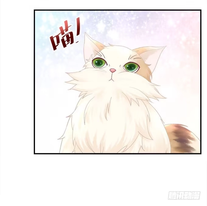 《穿高跟鞋的魔女》你什么时候才会想起我！ 第48页