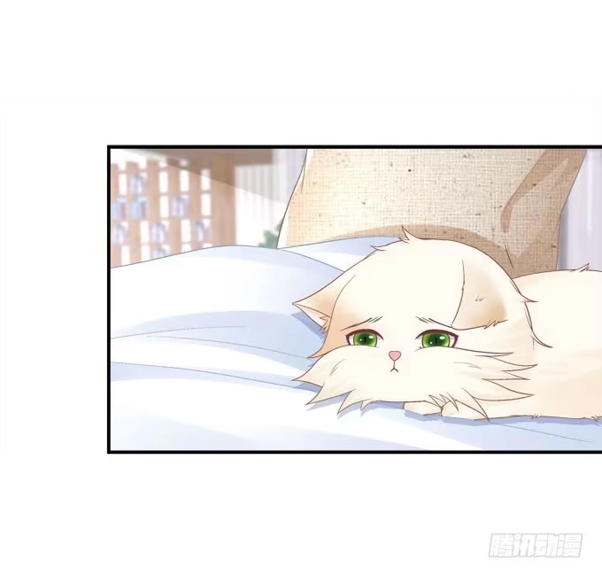 《穿高跟鞋的魔女》我就知道你不会离开我 第8页