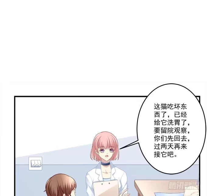 《穿高跟鞋的魔女》我就知道你不会离开我 第38页