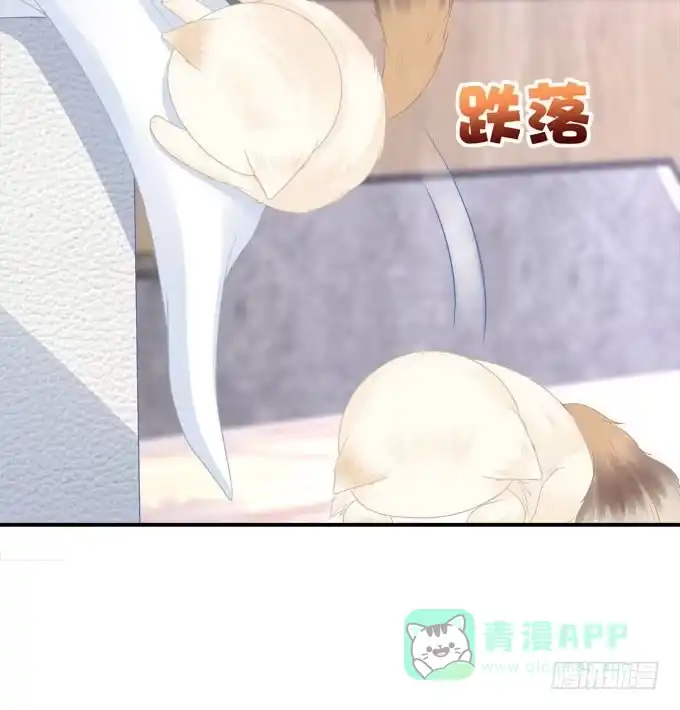 《穿高跟鞋的魔女》我就知道你不会离开我 第26页