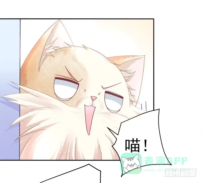 《穿高跟鞋的魔女》大神为我放烟花！ 第86页