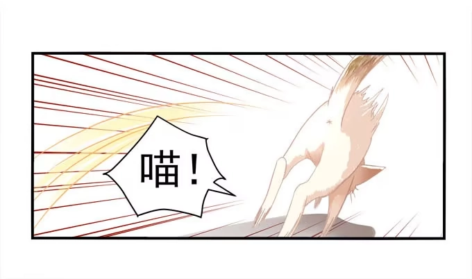 《穿高跟鞋的魔女》大神为我放烟花！ 第83页