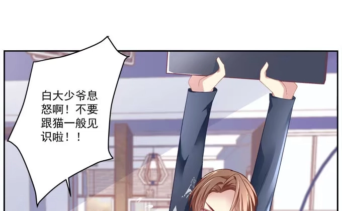 《穿高跟鞋的魔女》大神为我放烟花！ 第84页
