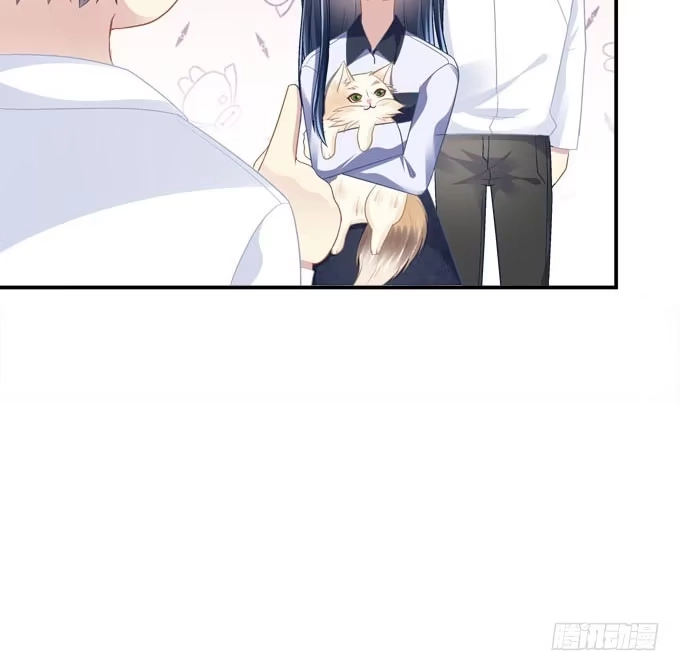 《穿高跟鞋的魔女》装作看不见 第54页
