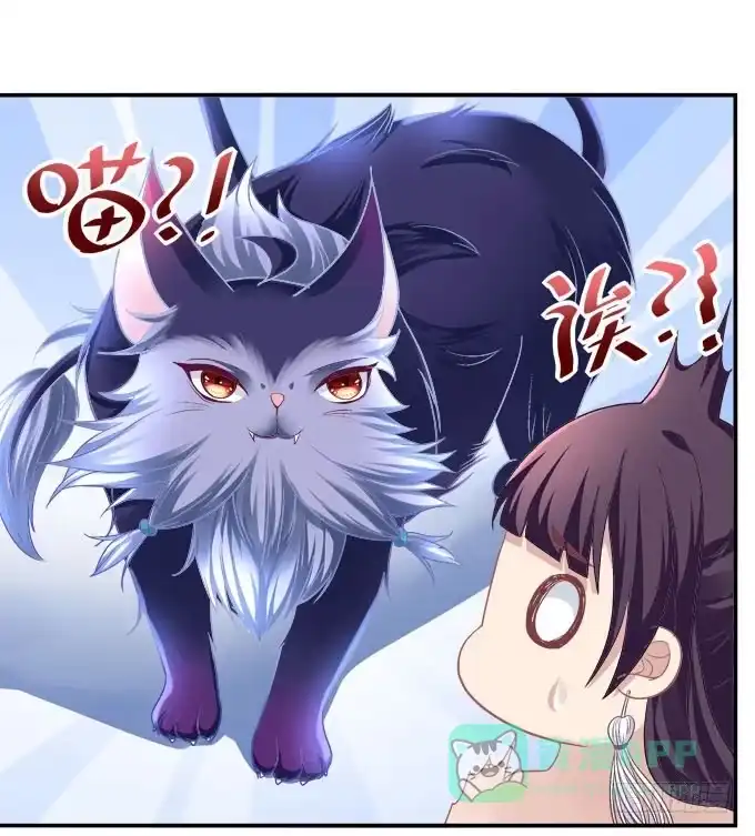 《穿高跟鞋的魔女》来一决胜负吧 第21页