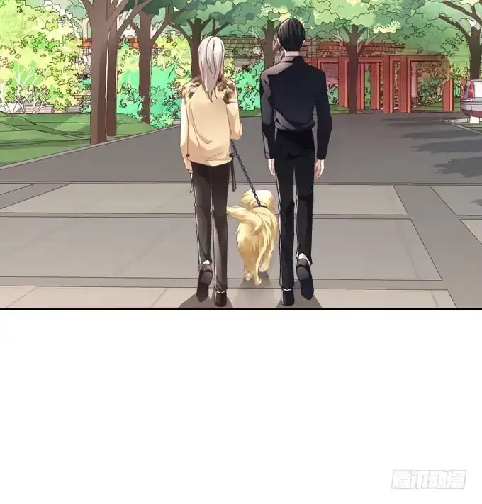 《穿高跟鞋的魔女》带你去见家长~ 第20页