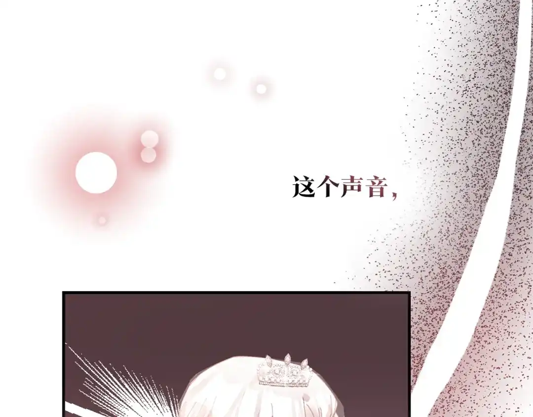 《传闻中的恶女》完结话 婚礼 第95页