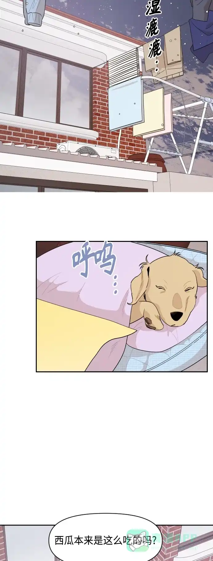 传闻中的吴潇姗 第51话 第5页