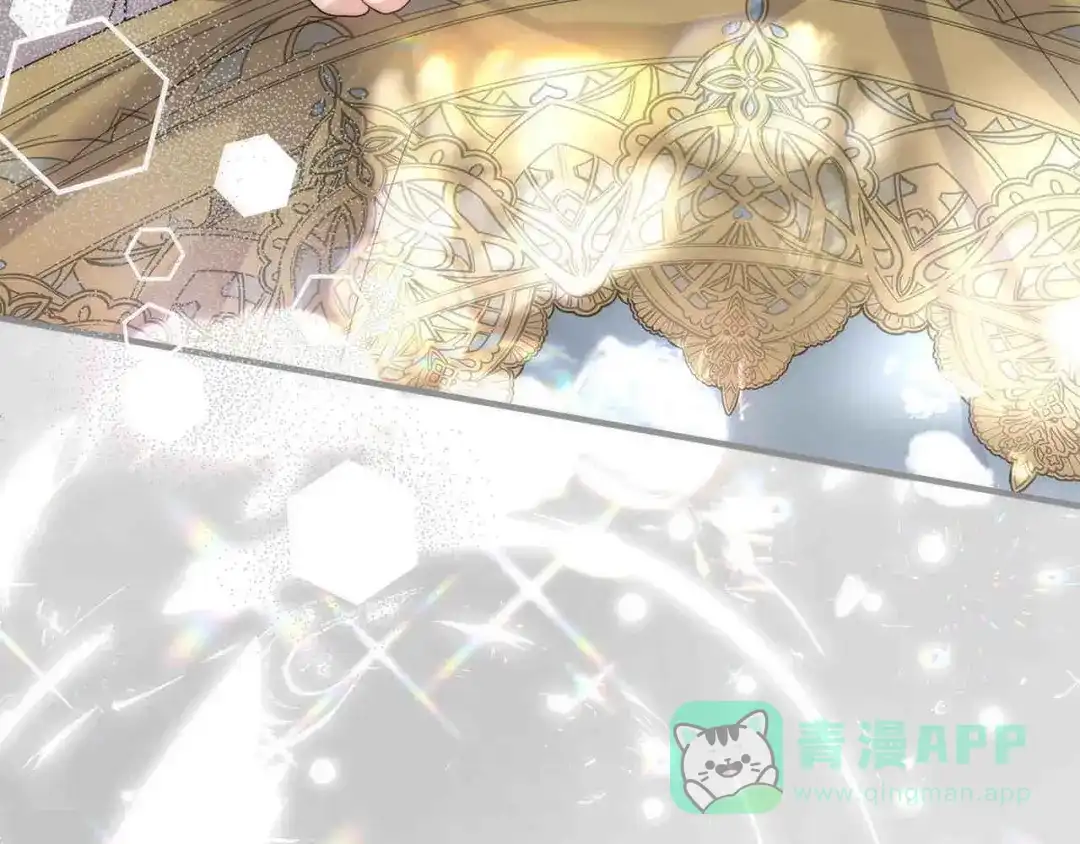 穿越成怪物太子的夫人 外传第6话 父亲 第146页