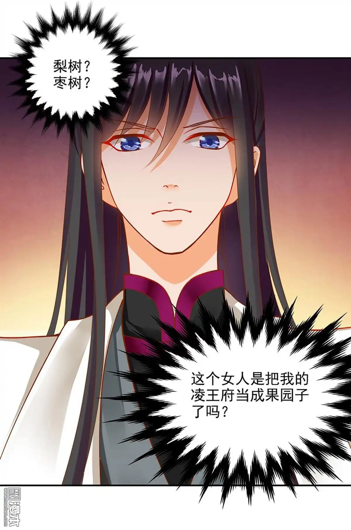 《穿越王妃要升级》第11回 挑衅 第43页