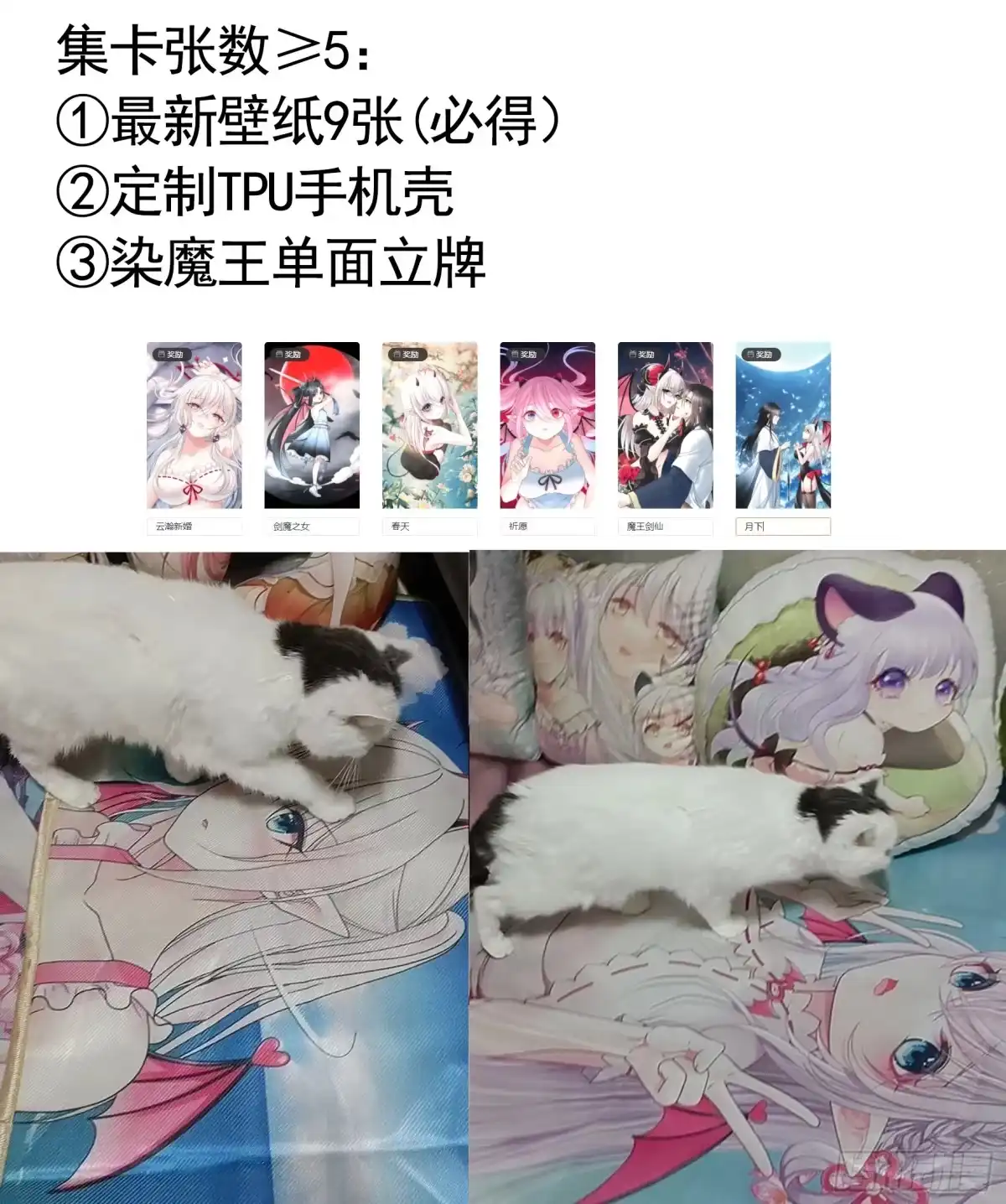 《纯情魅魔屑剑仙》儿子没了 第49页