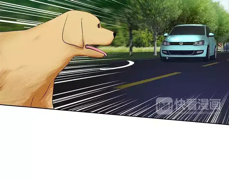 《纯情丫头休想逃》第86话 出车祸了 第40页